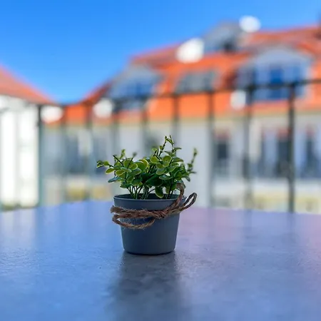 Apartament Baltischer Hof 33 *